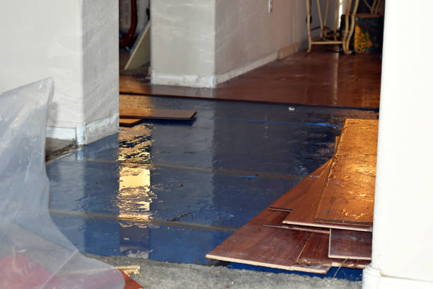 Professional Basement Flooding technician working in Houston, OH